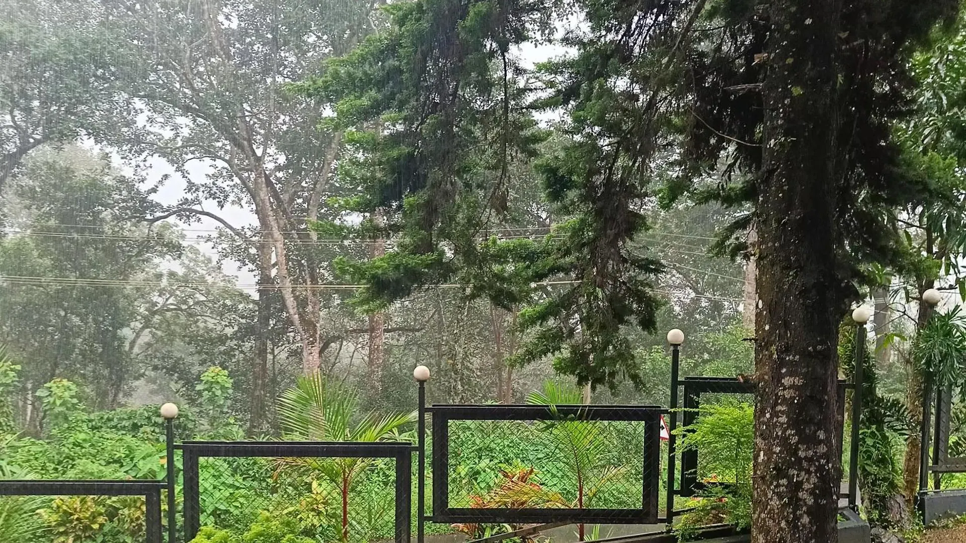 Cat Home'S Munnar Kallar Vattiyar 0*,  India