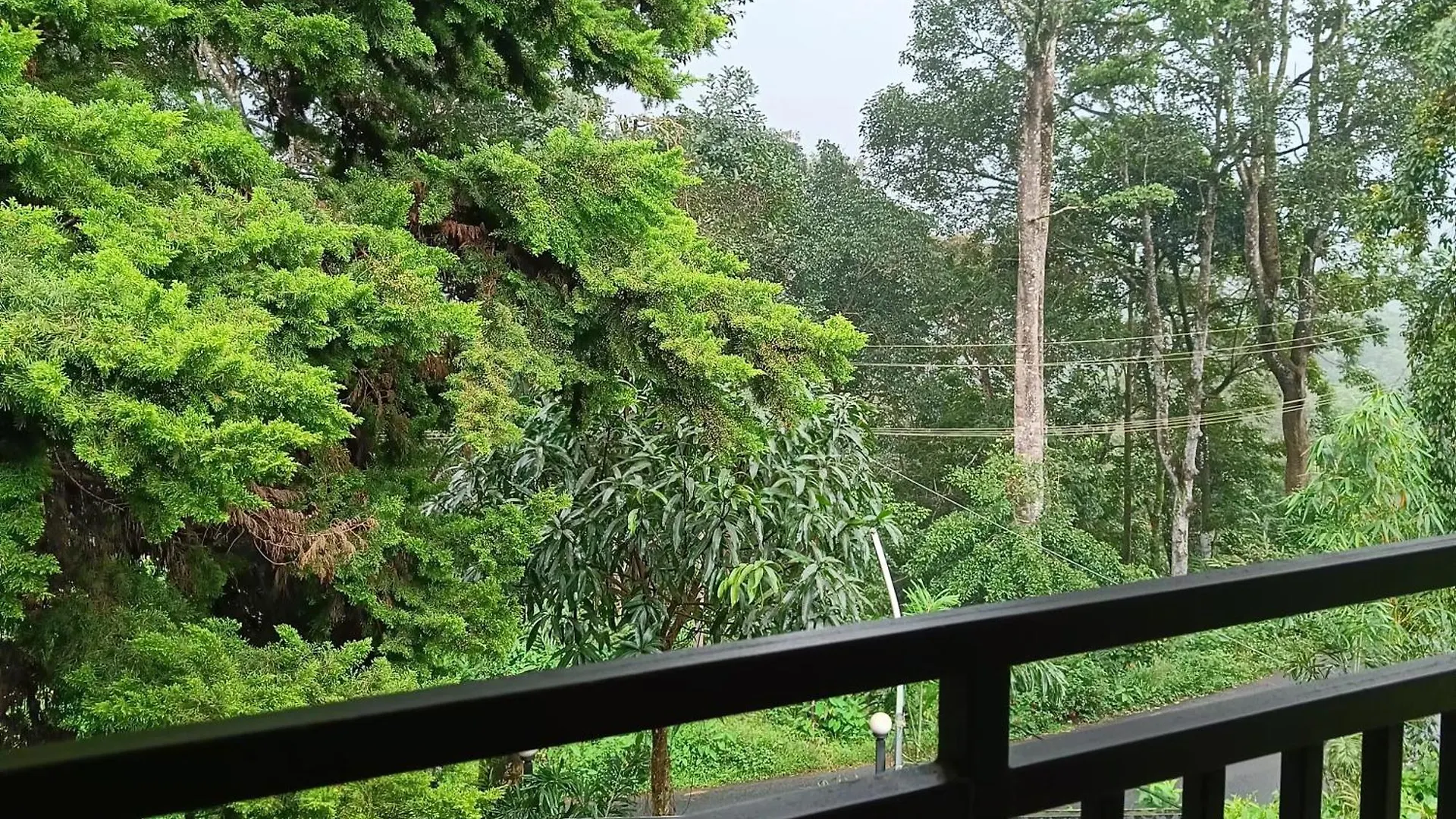 Cat Home'S Munnar Kallar Vattiyar Alloggio in famiglia